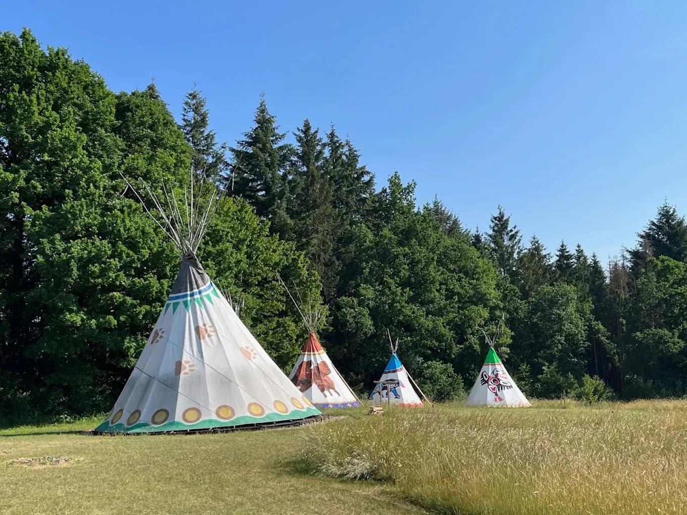 Drei bemalte Tipis auf der Wiese des Beuerhofs